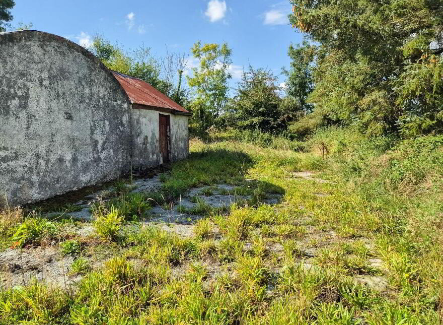 Cloncowley, Drumlish, Ballinamuck, N39TR26