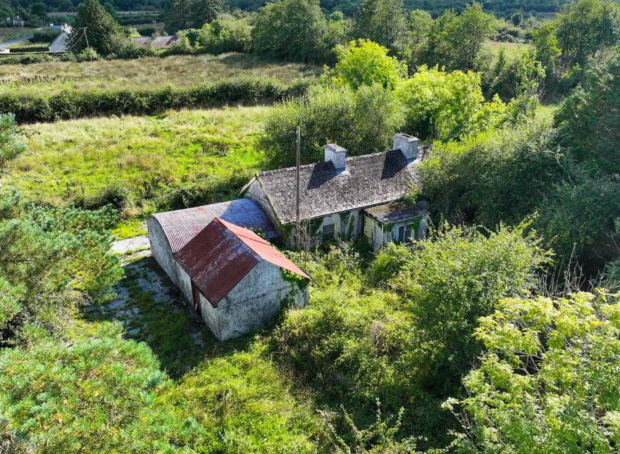 Cloncowley, Drumlish, Ballinamuck, N39TR26