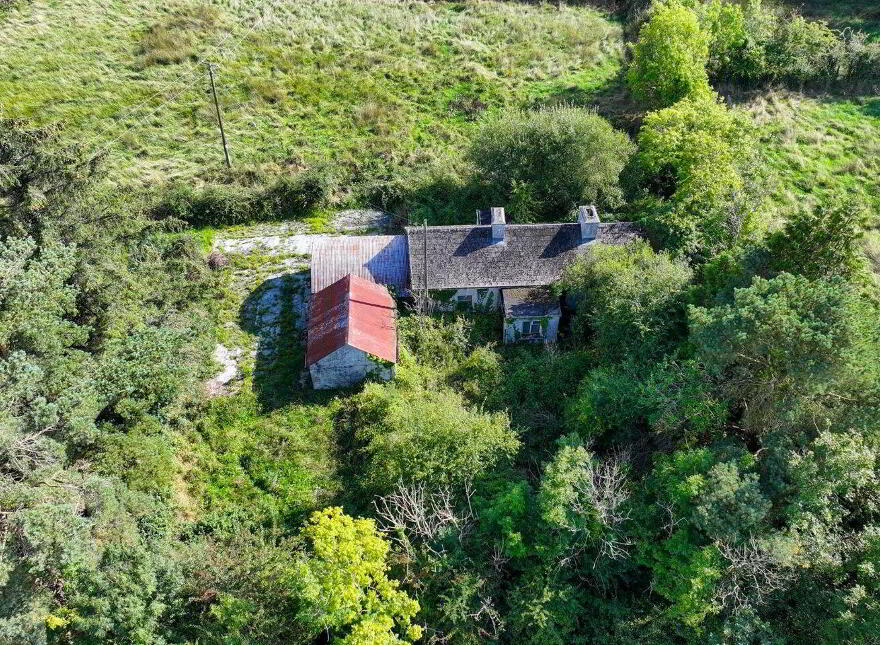 Cloncowley, Drumlish, Ballinamuck, N39TR26