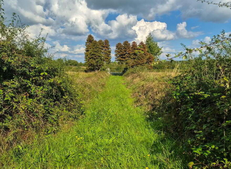 Cloncowley, Drumlish, Ballinamuck, N39TR26