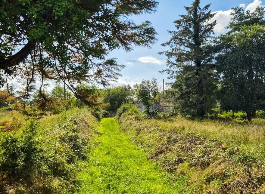 Cloncowley, Drumlish, Ballinamuck, N39TR26