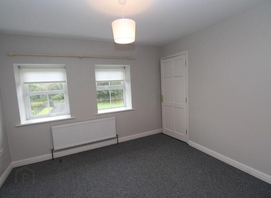 Drumhaughley, Cullyfad, Cullyfad, N39DP11