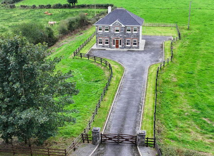 Drumhaughley, Cullyfad, Cullyfad, N39DP11