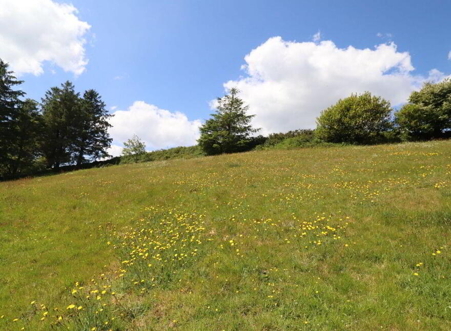 Fig Tree Cottage, Meenies Upper, Drimoleague, P47YK28