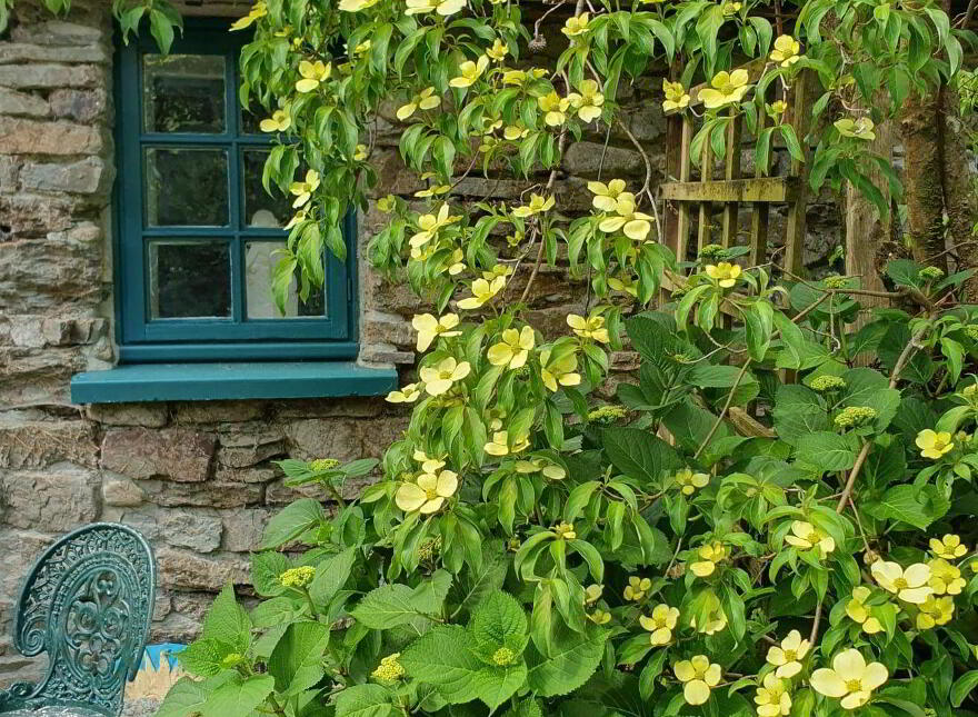 Fig Tree Cottage, Meenies Upper, Drimoleague, P47YK28