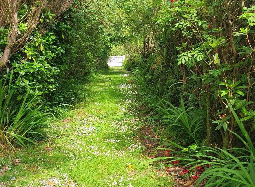 Fig Tree Cottage, Meenies Upper, Drimoleague, P47YK28