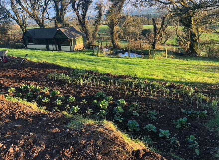 Fig Tree Cottage, Meenies Upper, Drimoleague, P47YK28