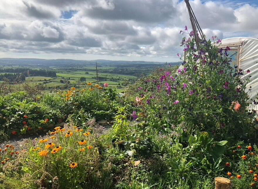 Fig Tree Cottage, Meenies Upper, Drimoleague, P47YK28