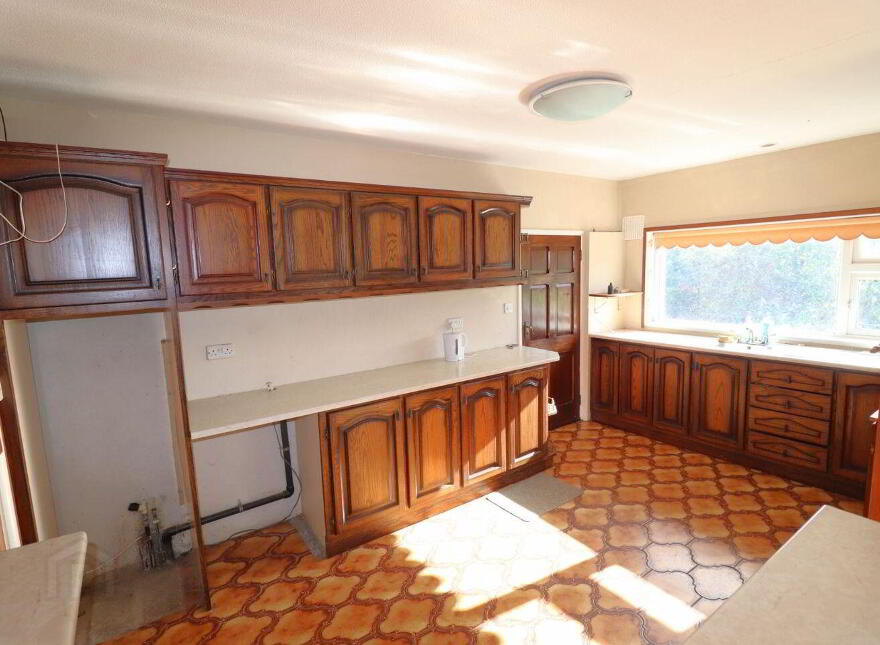 Palm Grove, Bunlick, Skibbereen, P81P951