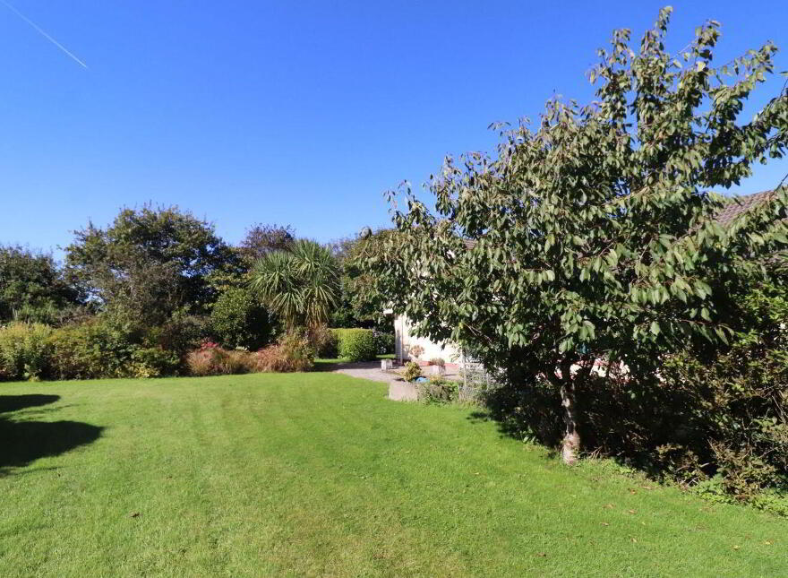 Palm Grove, Bunlick, Skibbereen, P81P951