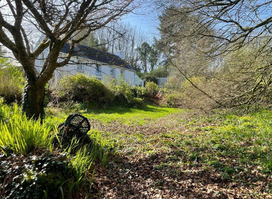 Lough Ine, Skibbereen, P81DP63