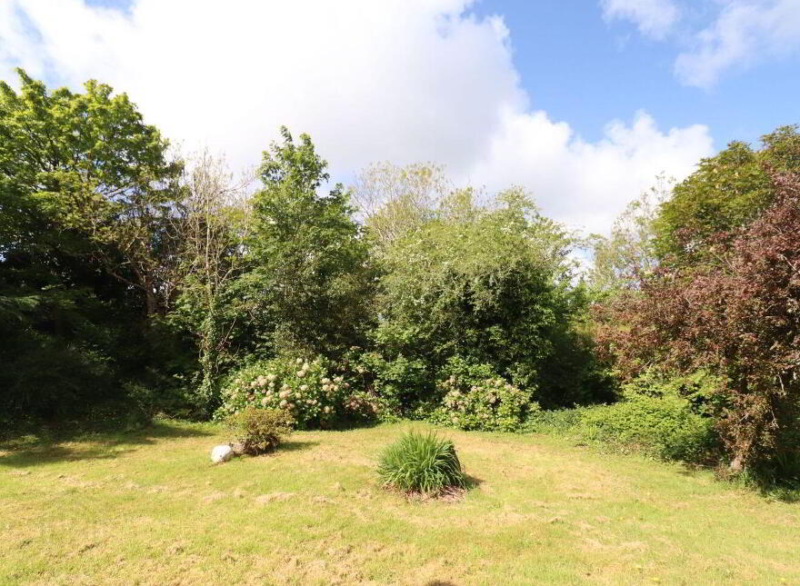Hobson's Choice, Creagh, Baltimore, P81YD82