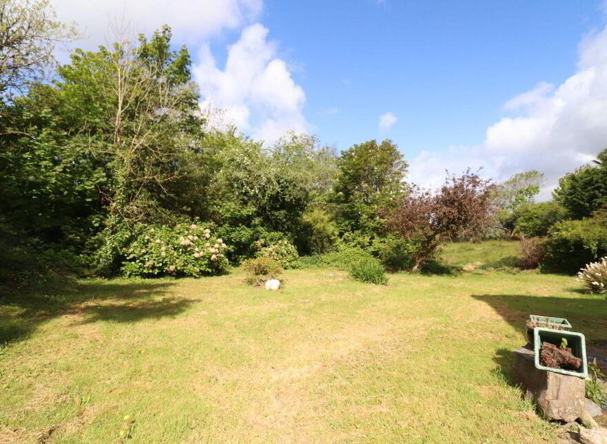 Hobson's Choice, Creagh, Baltimore, P81YD82