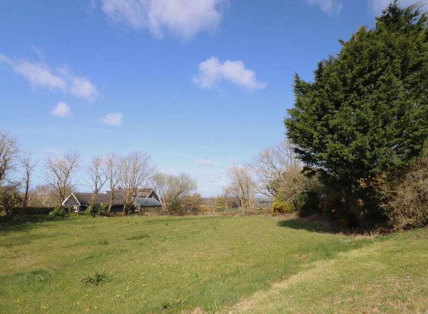 Hobson's Choice, Creagh, Baltimore, P81YD82