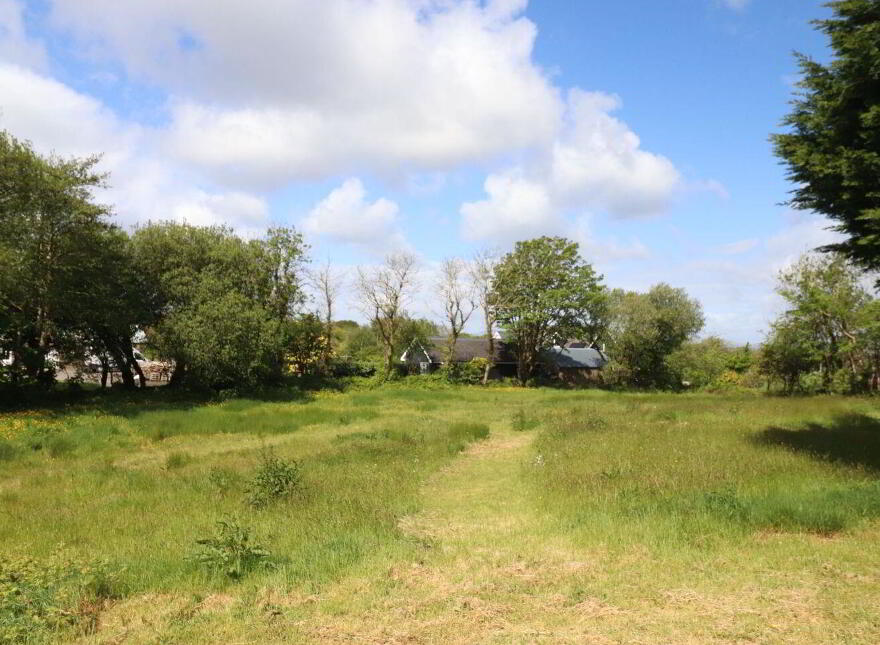 Hobson's Choice, Creagh, Baltimore, P81YD82