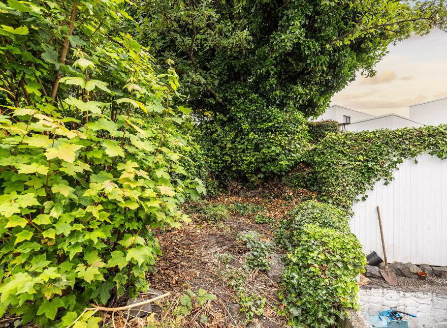 19 Aughrim Street, Dublin 7, D07KDC4