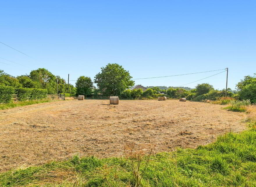 Long Avenue, Boleybeg, Ballitore, R14C940