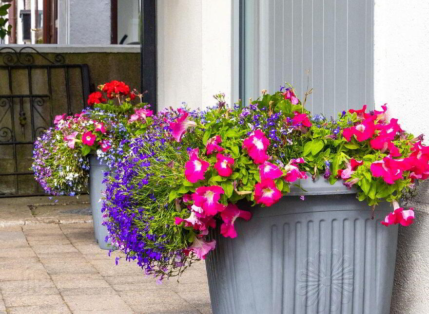 1636 Pairc Mhuire, Newbridge, W12YC98