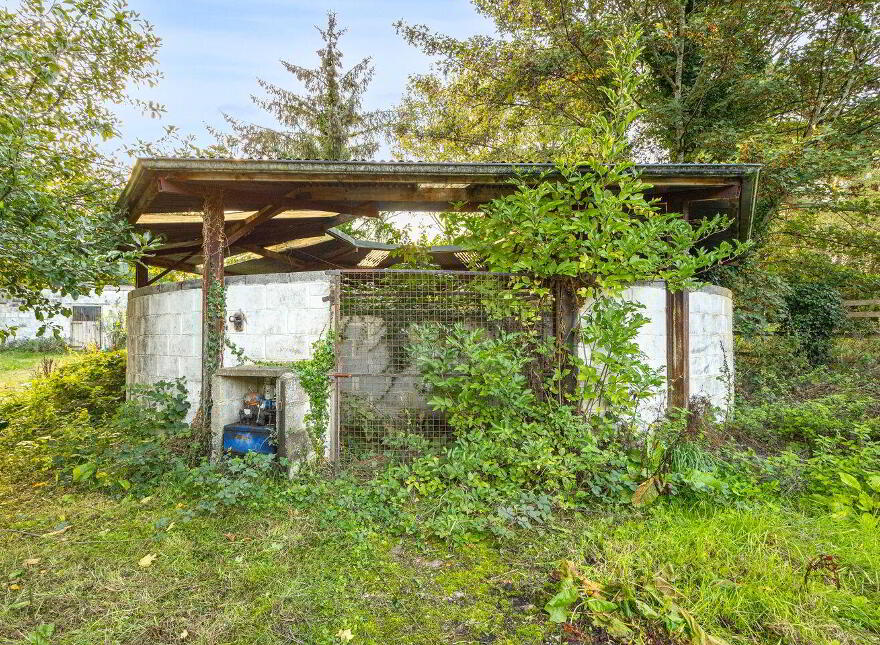 Ferhaven, Derreens, Carragh, W91TP6H