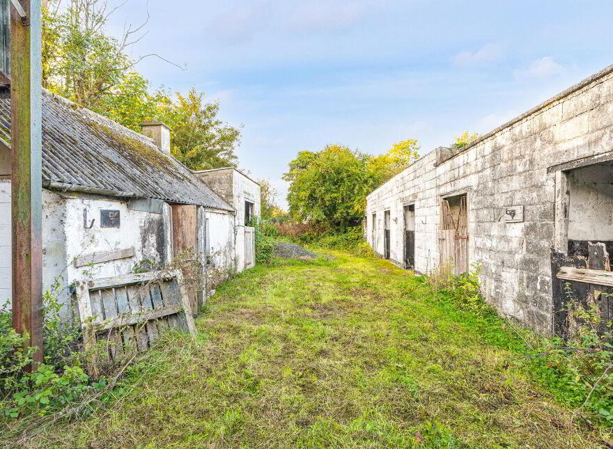 Ferhaven, Derreens, Carragh, W91TP6H