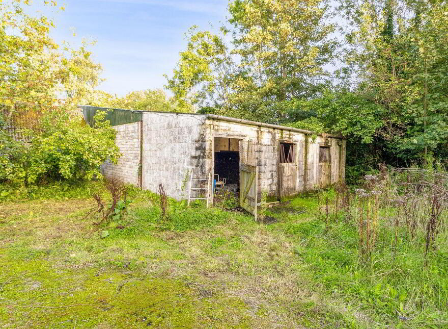 Ferhaven, Derreens, Carragh, W91TP6H