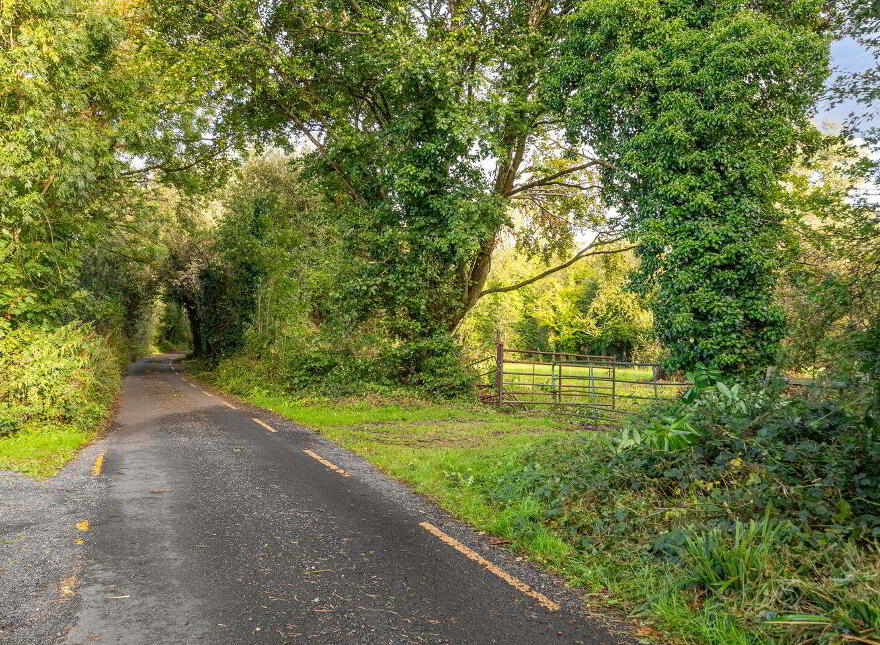 Ferhaven, Derreens, Carragh, W91TP6H