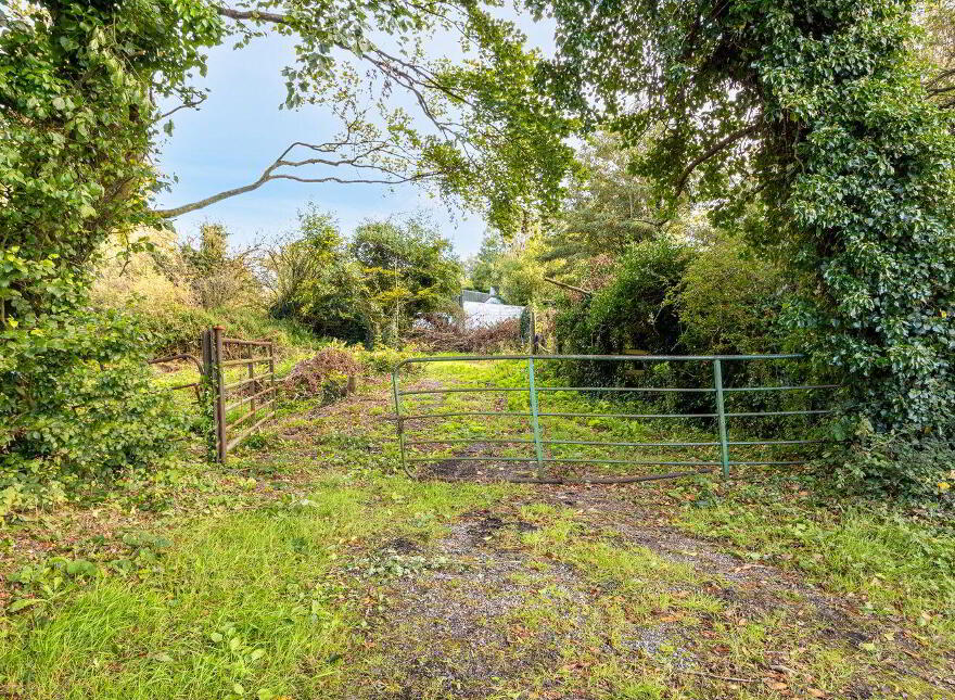 Ferhaven, Derreens, Carragh, W91TP6H