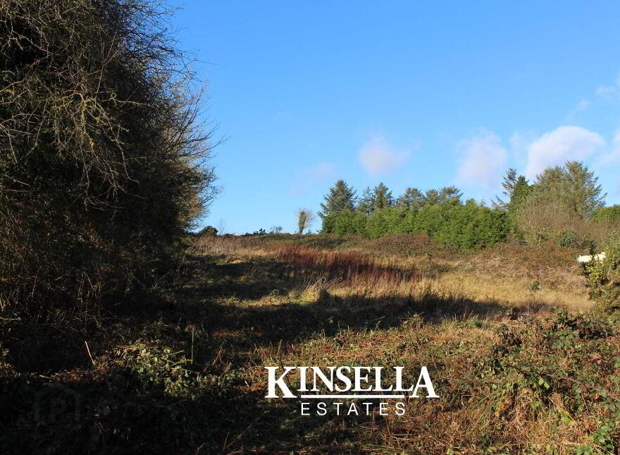 Mount Pleasant, Tinahely, Y14D821