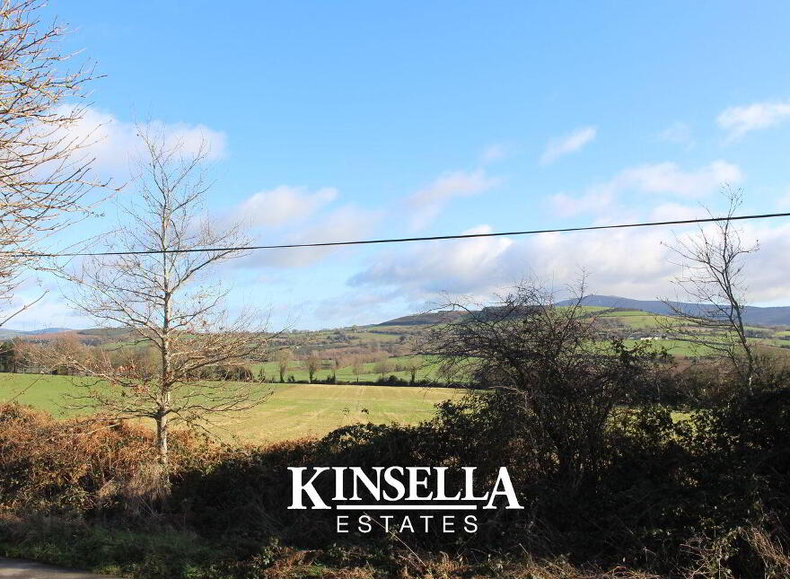Mount Pleasant, Tinahely, Y14D821