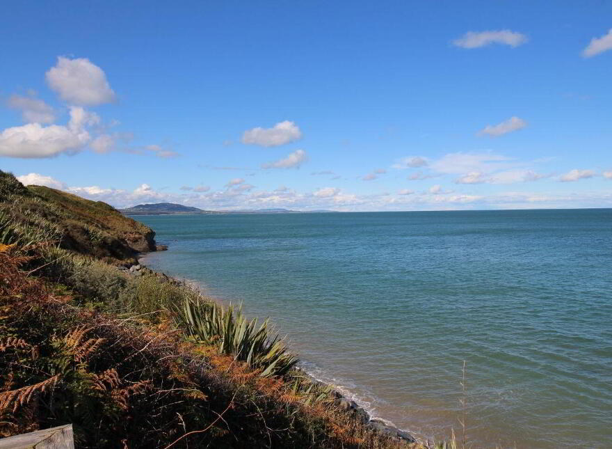 Lazy Acre, Roney Point, Ardamine, Gorey, Y25A273