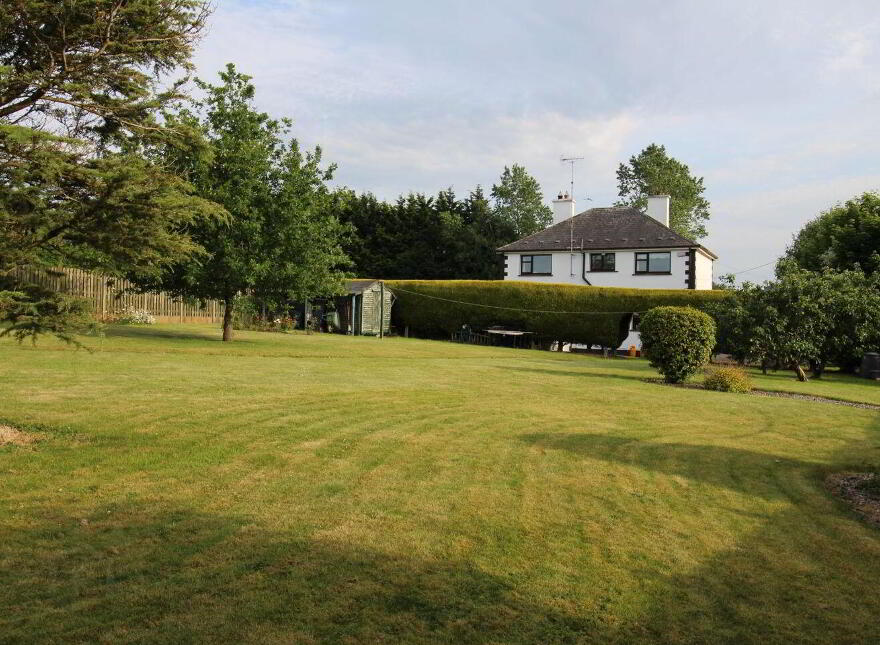 Avalon, Munny, Gorey, Y25Y223