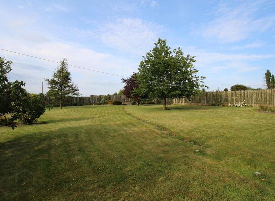 Avalon, Munny, Gorey, Y25Y223