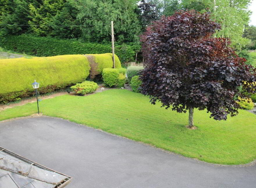Avalon, Munny, Gorey, Y25Y223