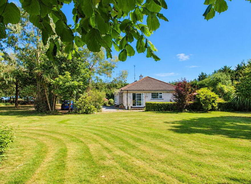 Journey's End, Mount Alexander, Gorey, Y25E300