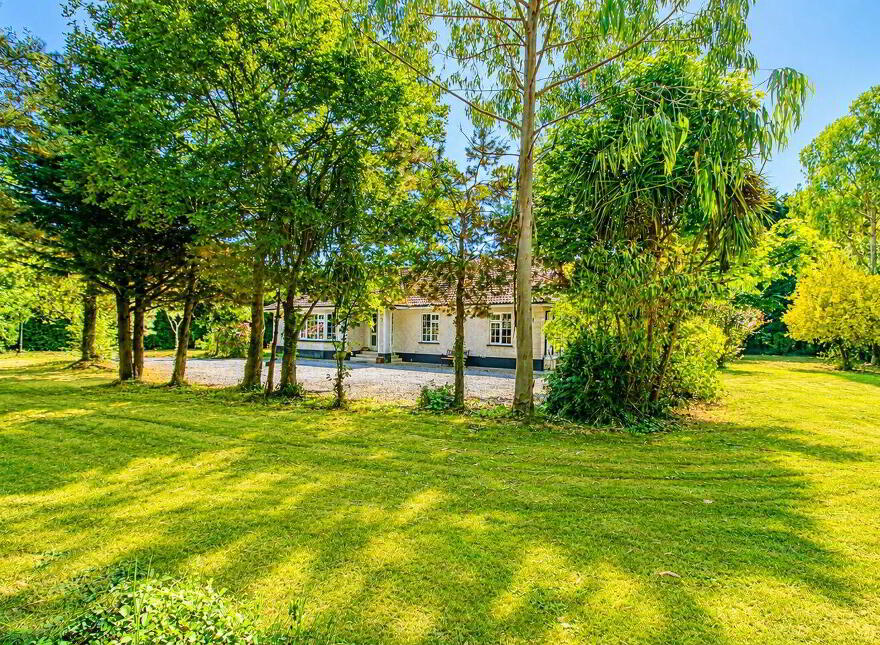 Journey's End, Mount Alexander, Gorey, Y25E300