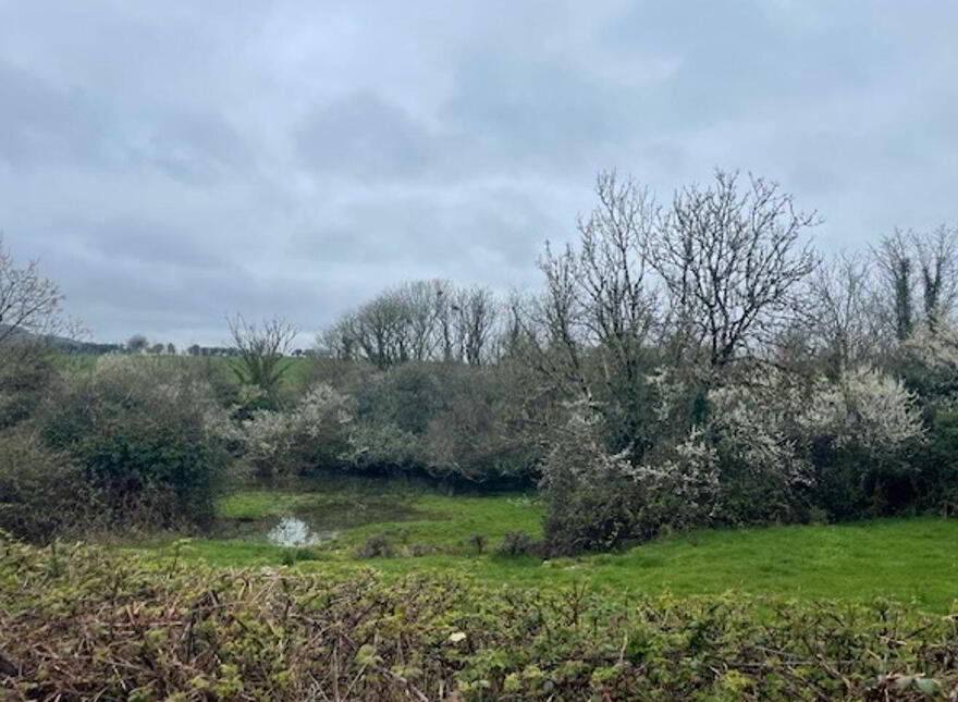 Baunkyle, Corofin