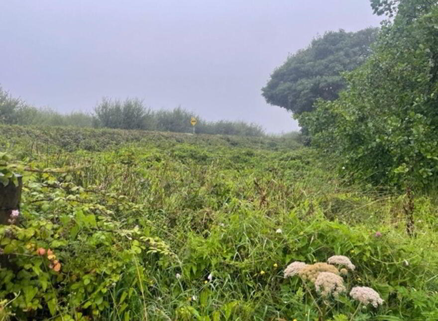 Carroweragh, Kilshanny