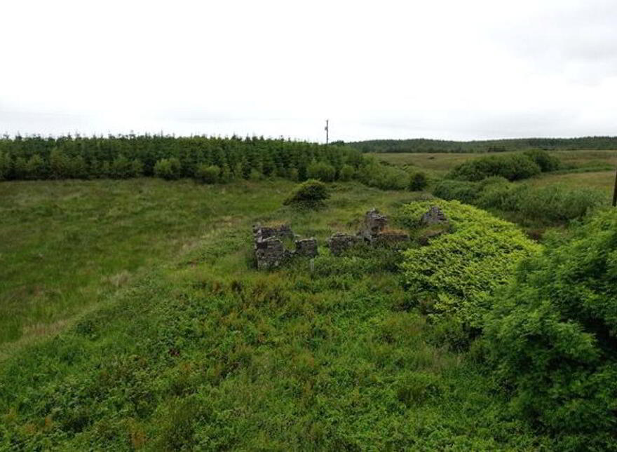 Knockaskeheen, Lisdoonvarna, V95HT3H