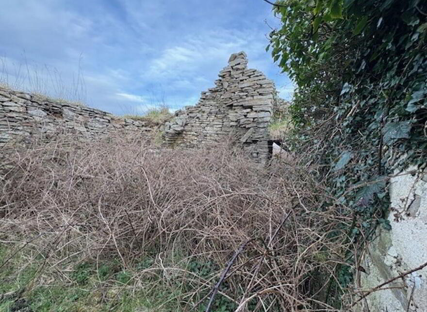 Feagreen, Lahinch