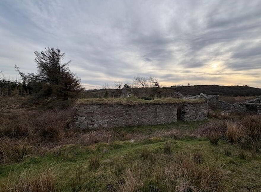 Feagreen, Lahinch
