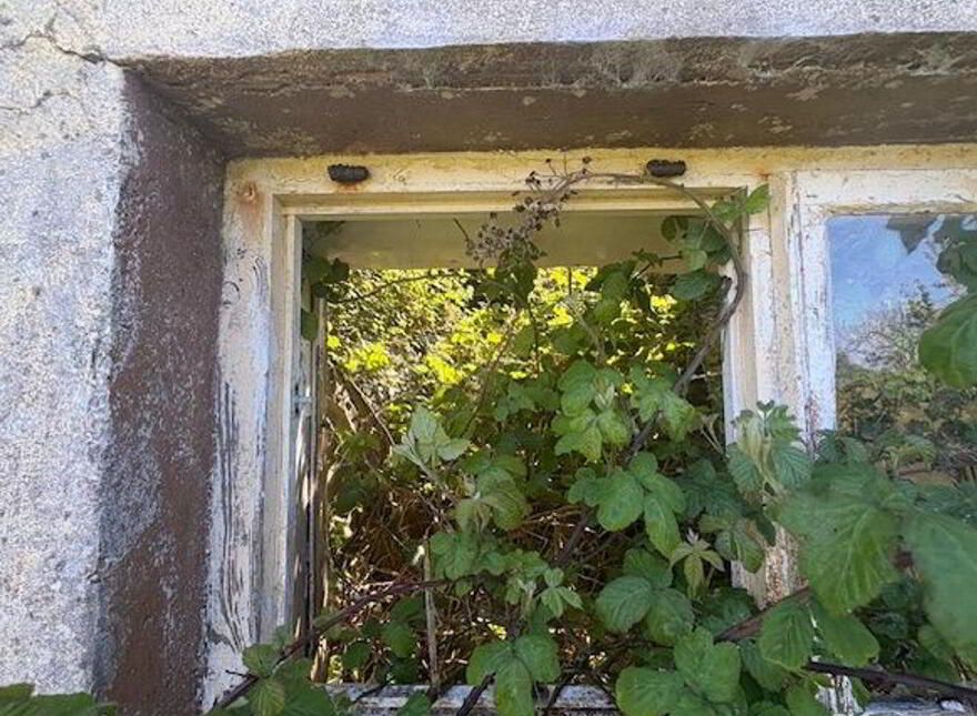 Querrin, Kilrush, Querrin, V15PN29