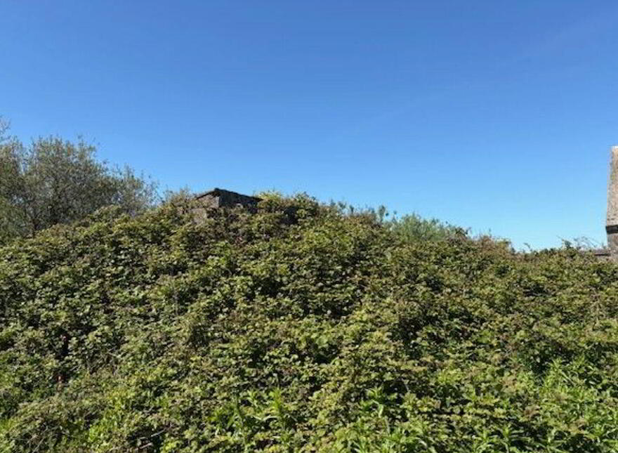 Querrin, Kilrush, Querrin, V15PN29