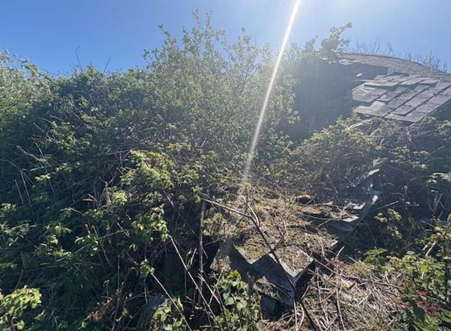 Querrin, Kilrush, Querrin, V15PN29