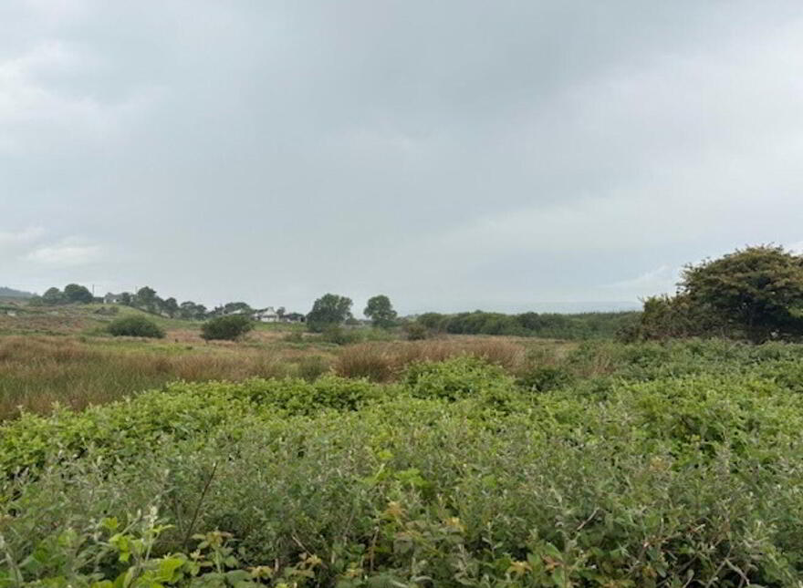 Ballybreen, Kilfenora, V95K0D8 photo