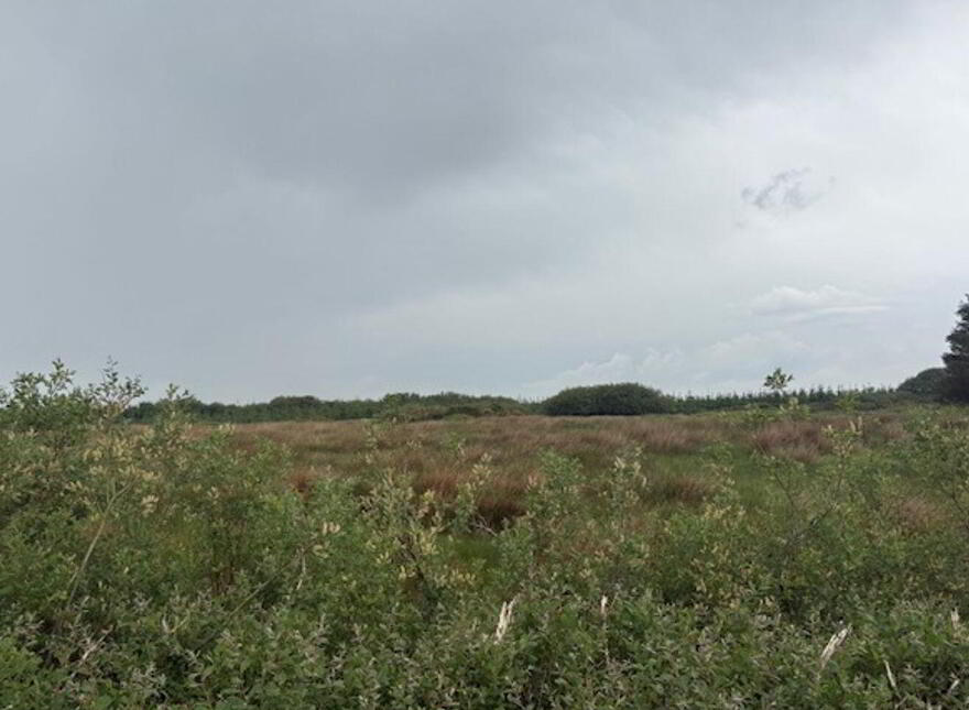 Ballybreen, Kilfenora, V95K0D8 photo