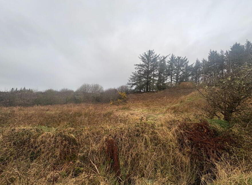 Slievenagry, Kilshanny
