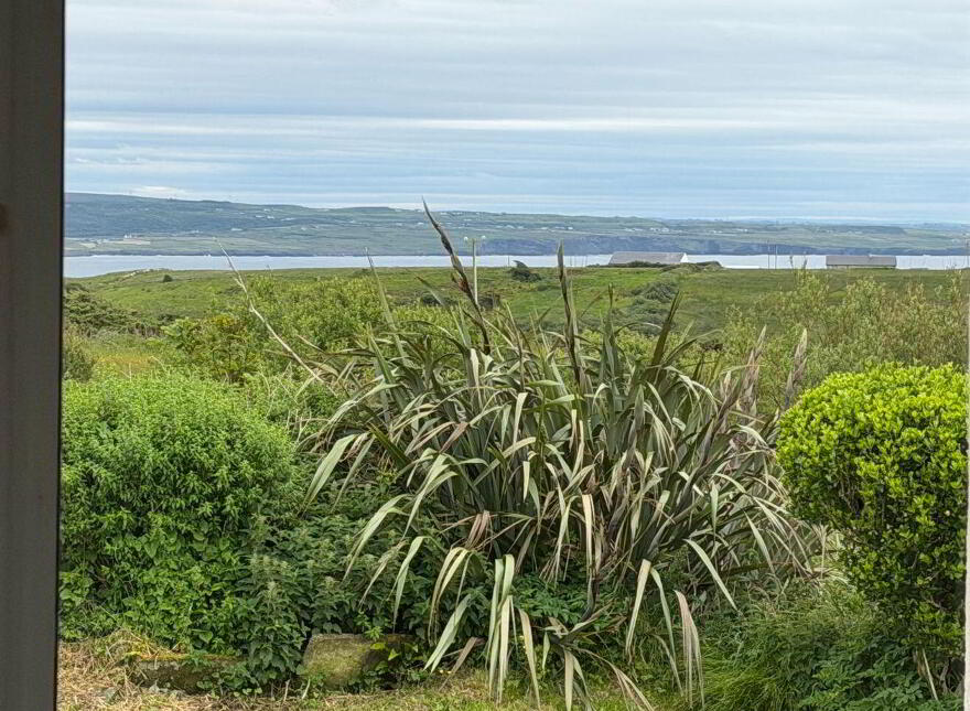 Ballycotton, Liscannor, V95A3V1