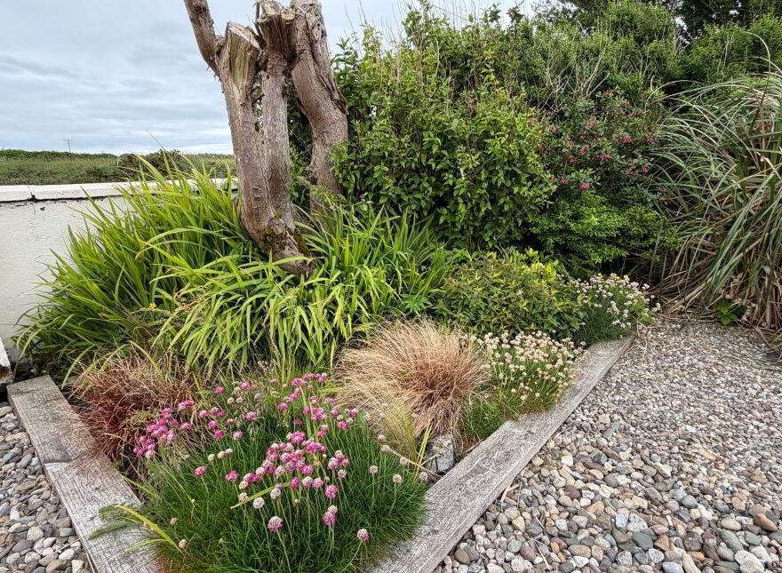 Ballycotton, Liscannor, V95A3V1