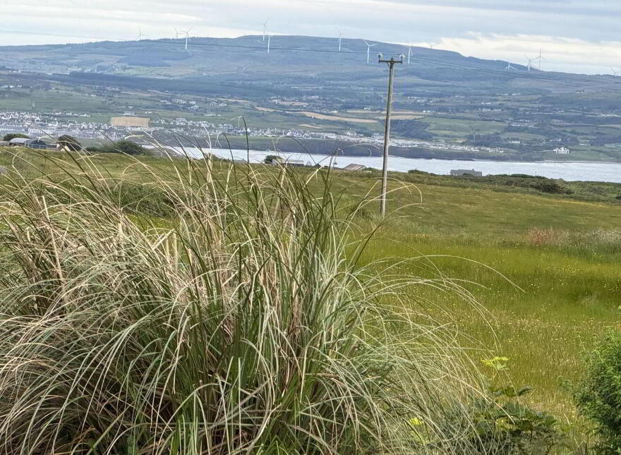 Ballycotton, Liscannor, V95A3V1