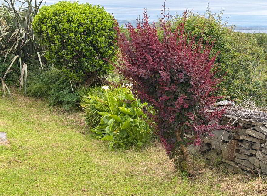 Ballycotton, Liscannor, V95A3V1